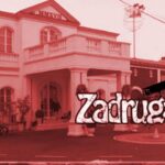 zadruga 6