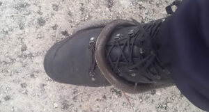 zmije trebinje nezavisne novine 2