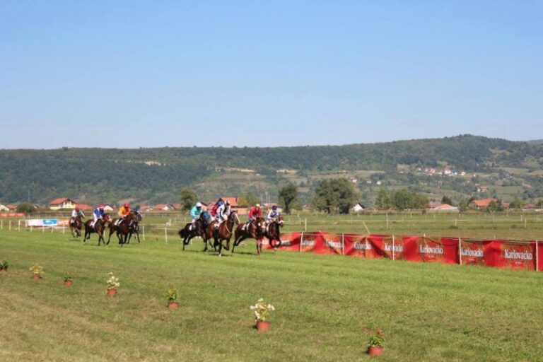Gdje je danas konjički sport u BiH, koliko koštaju najskuplja grla?