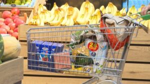 1630083638 SA HRANA PKG AZU 120210827 163807270 mxf Still001 750x422 1