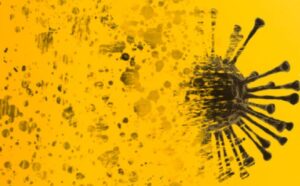 1635399026 1635398721 shutterstock 1903183486 750x465 1