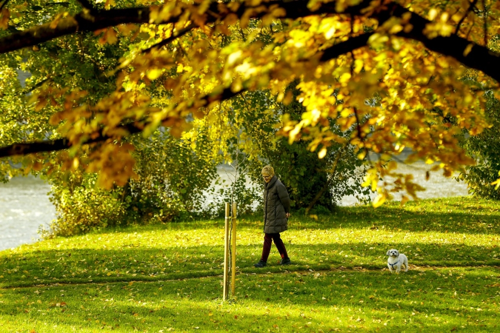 2366f197cb1fe1d745073036eb1613d2 jpg pagespeed ce KNUuIu0QRR