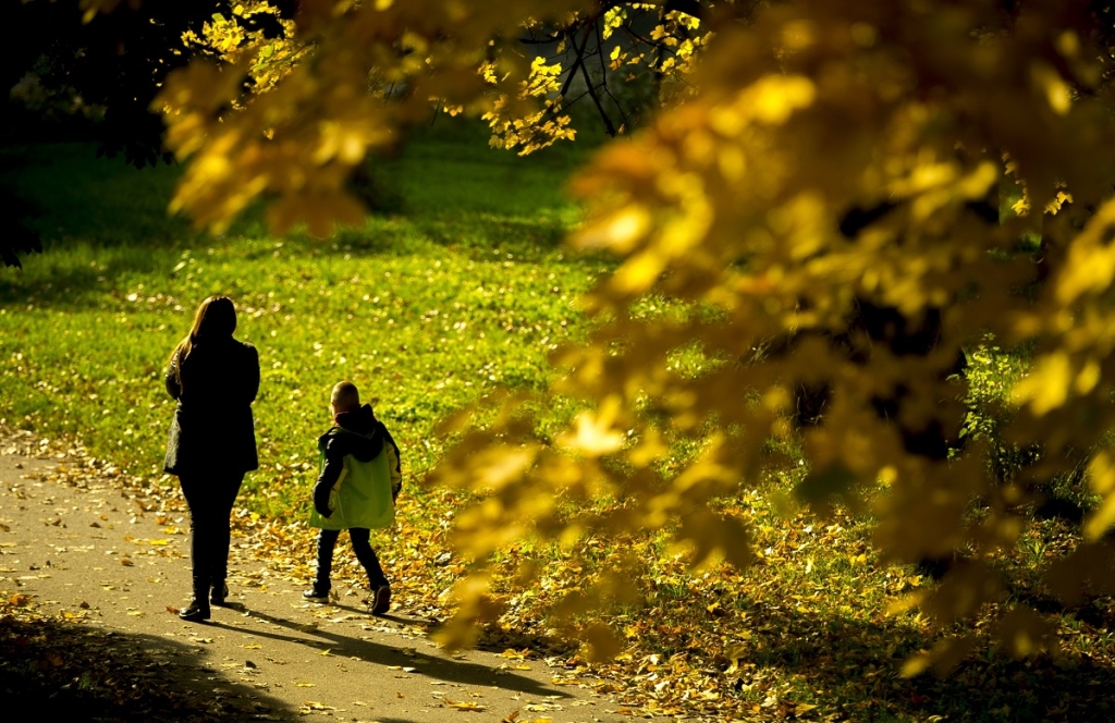 31df1f351b376abc1e62f2e7992ab012 jpg pagespeed ce OI2odMwBTX