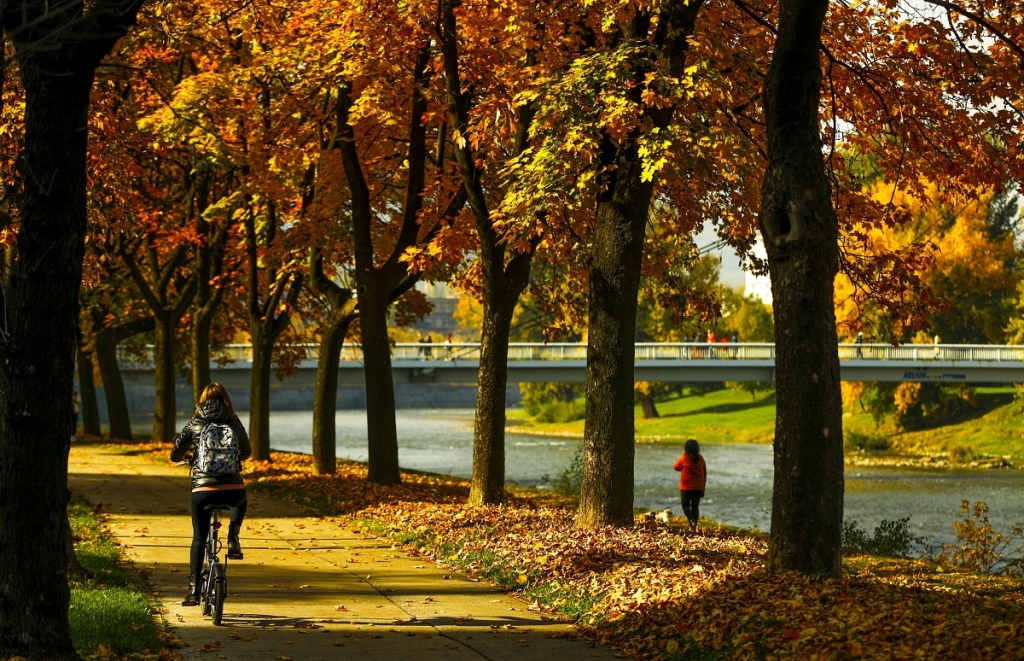 3c5becd47709fd09a0577ee789d11a73 jpg pagespeed ce I8kzo9XU8W