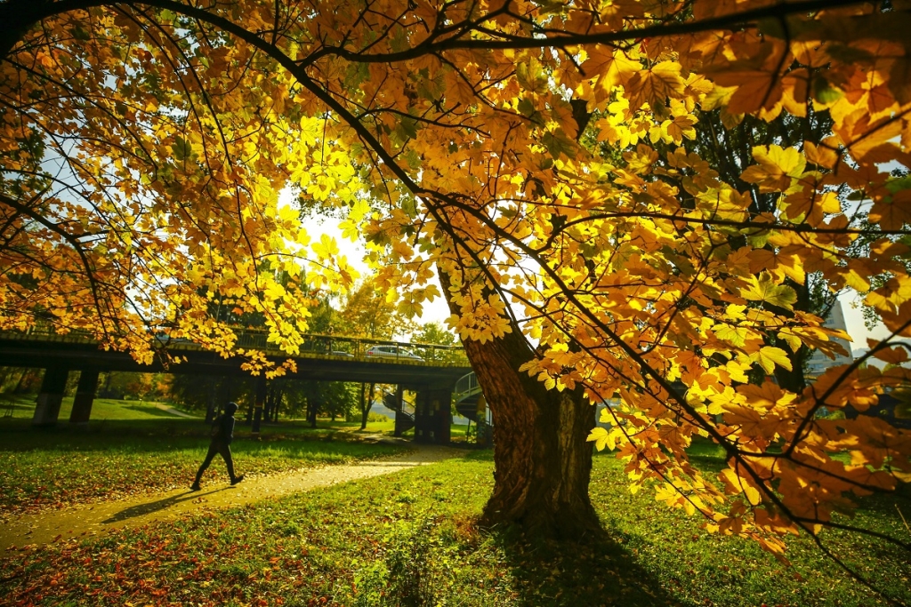 40a2d830535869009c1c64747fef30fc jpg pagespeed ce TZS5hmlEuu