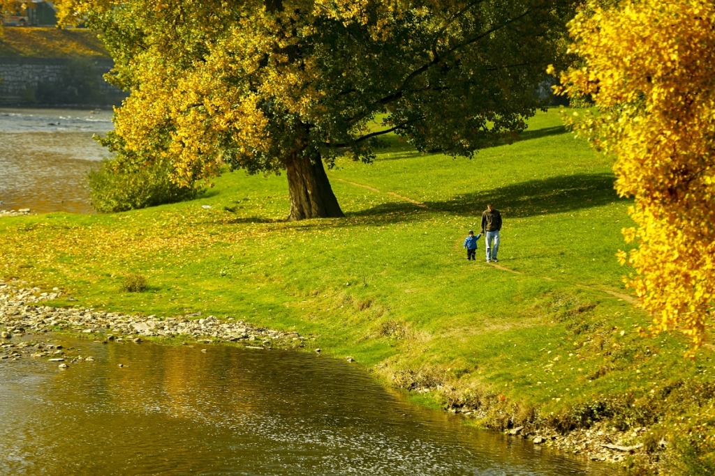 4e2f0fe1c1e0d4aabc235d8f7801bbe3 jpg pagespeed ce 5D W2yu2Gl