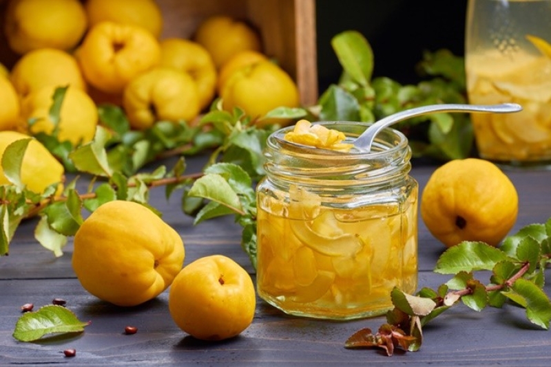 6b0ec22714f5354b223984d320265382 jpeg pagespeed ce rJJurOt 8Q