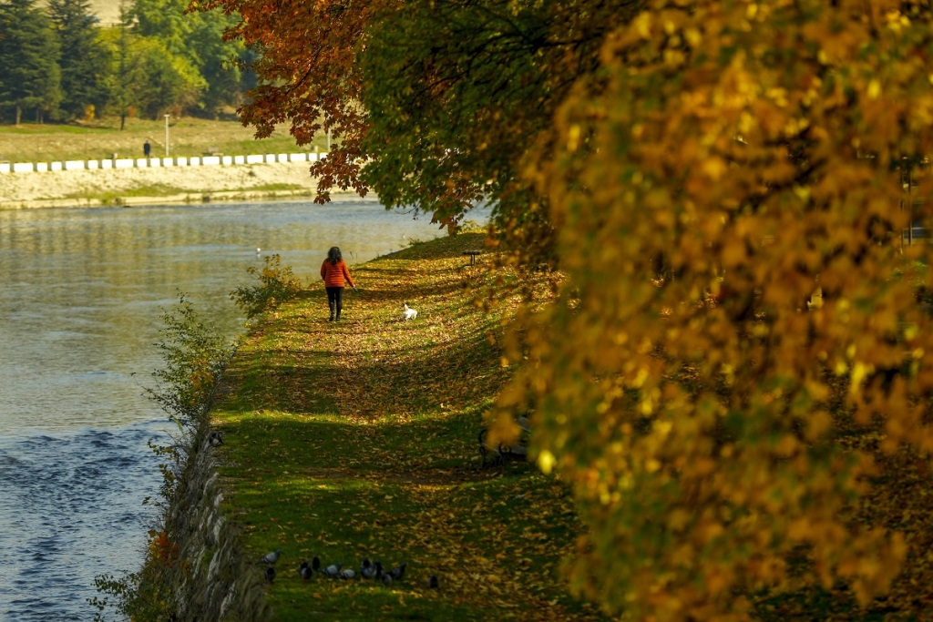 88aa5cb79c1d48f3bf709a5c5c64d827 jpg pagespeed ce jg785T jmL