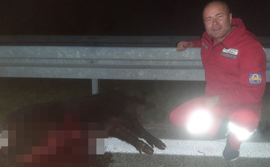 908E215E 1F6D 41A6 8E4B AD267EF6CCF8