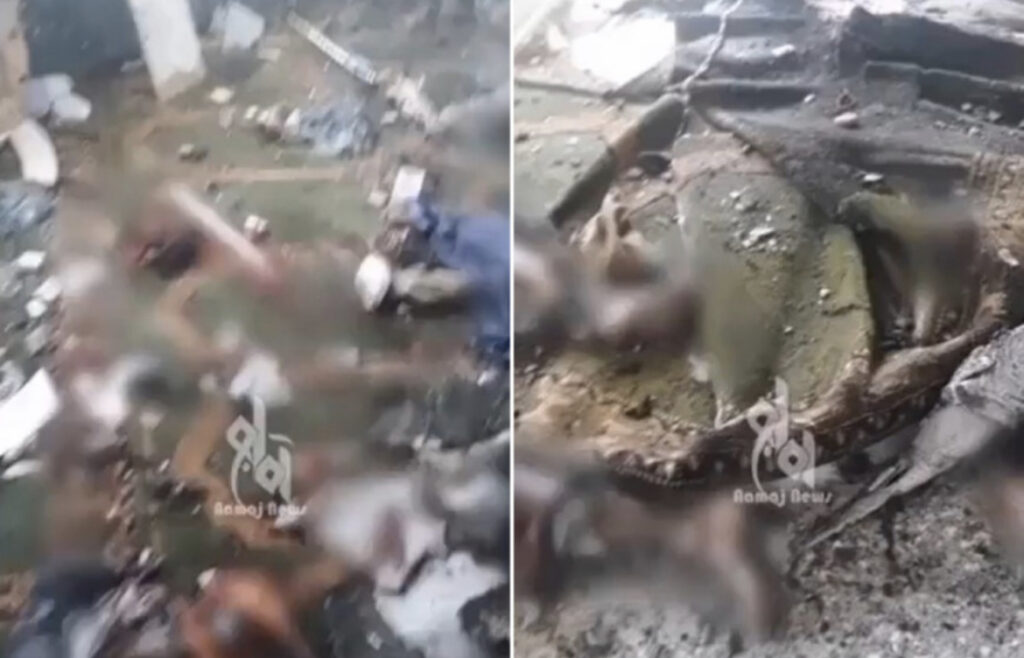 E8B39CFB C044 48ED 9832 C7B0CC69DA0F