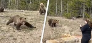 b1d10126d48153293e692f5ebba02927