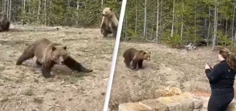 b1d10126d48153293e692f5ebba02927