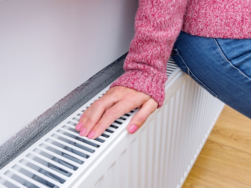 b5187620c34823ab8ef28c59a0434b43 jpg pagespeed ce v1meDBaVDt