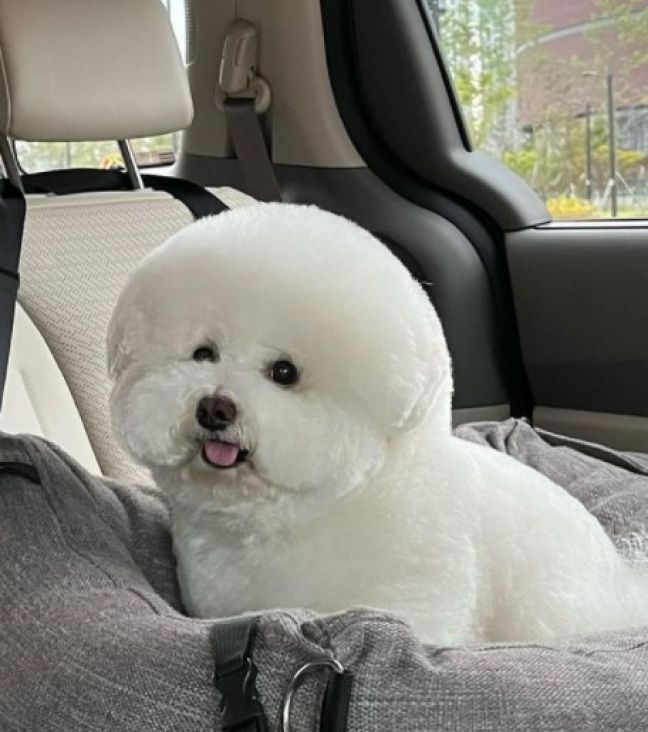 bison cuko ig 21okt bison cuko ig 21okt