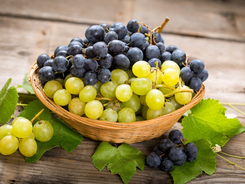 ca7814e4dcc183b638c9dddfed9fd312 jpg pagespeed ce t1esy9ej0q