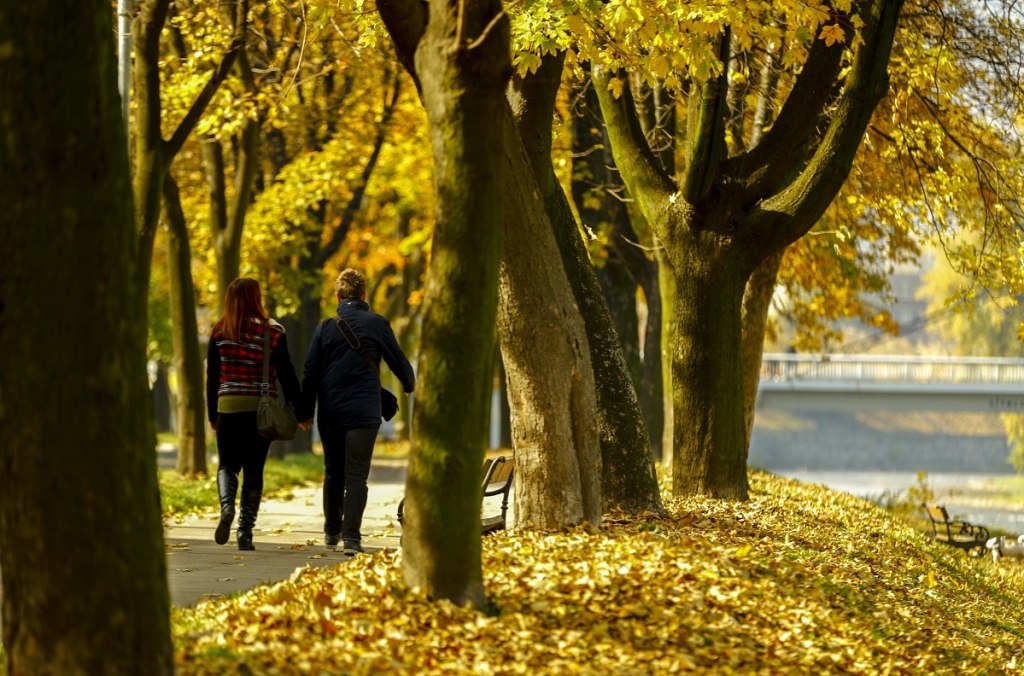 d6ed731e87fc5979bcbcf55e7dc3cdef jpg pagespeed ce WkGIdZCD y