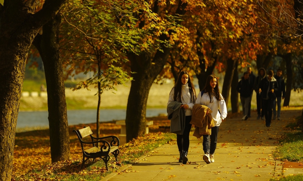 e6c3ab95d8e23ce35aee81f416babbab jpg pagespeed ce mtAsGmvN1