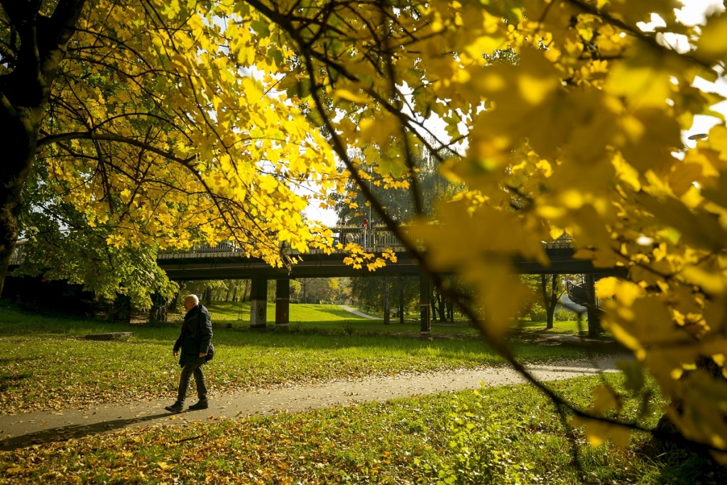 f5cc082a1a7d7ff4e4ad870544d00d63 jpg pagespeed ce jwAF teKhS