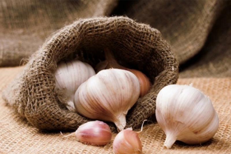 f6012654f1d768726920c65003bcc81e jpg pagespeed ce zkuhHAnTJm