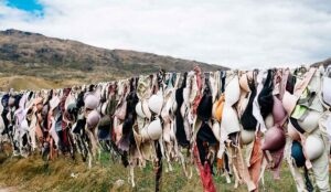 grudnjak pixabay ilustracija