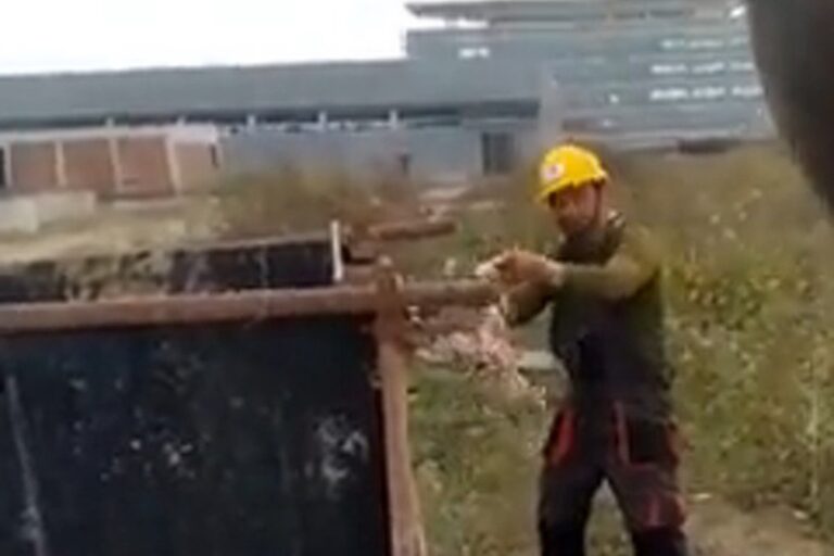 Snimak iz Srbije zgrozio javnost: Radnici kineske fabrike deru životinju
