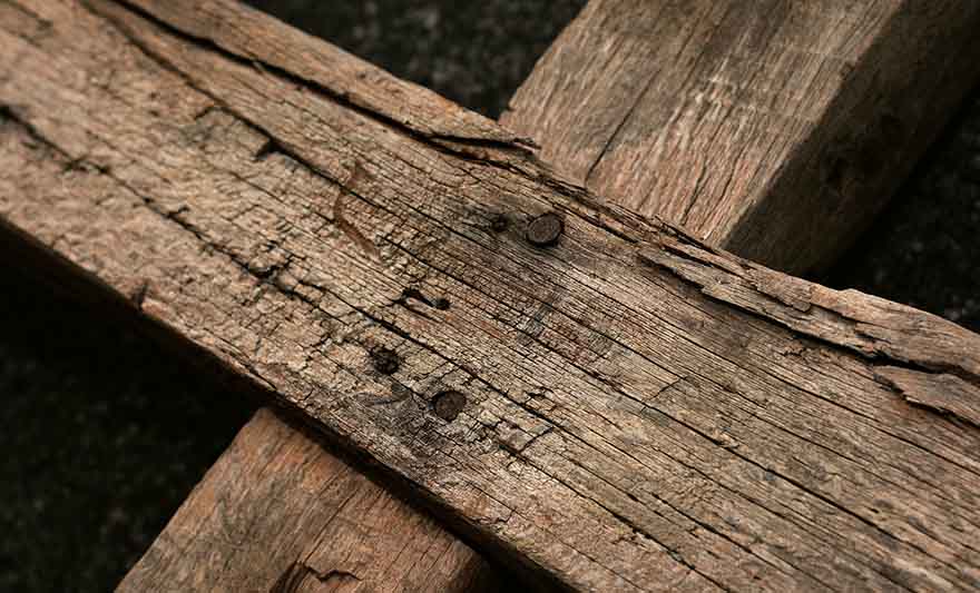 krst pixabay ilustracija