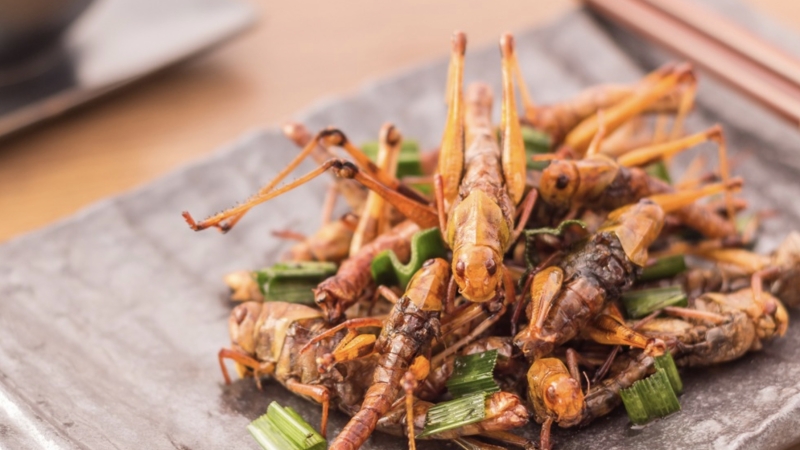 14cd9a37015215c24e1a6a3407d6e025