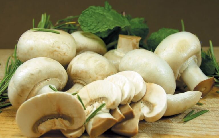 Šampinjoni podižu imunitet, štite od karcinoma, bogati su C vitaminom