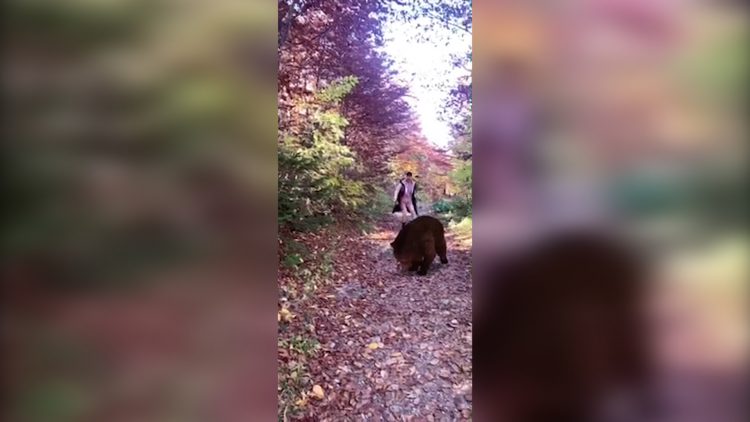 1635683509 sa inspiracija fratar 00 00 01 08 Still001 750x422 1