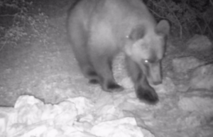 1637852622 c 750x483 1