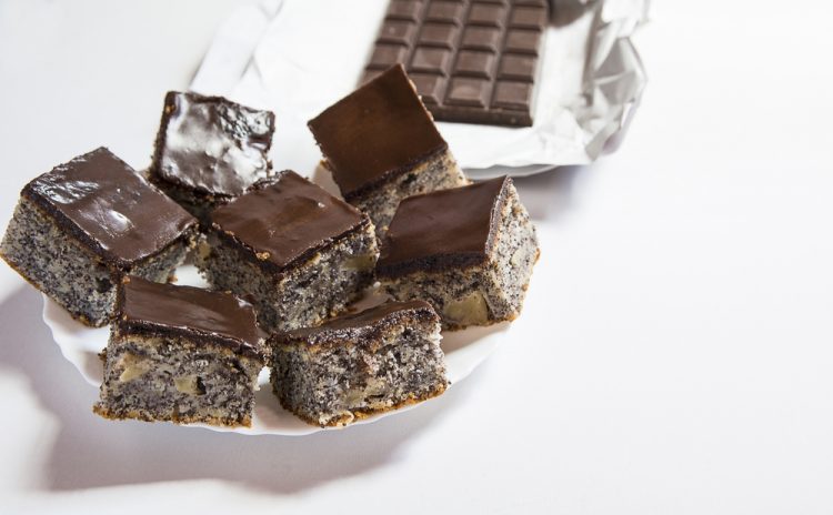 1637912593 kocek od maka 750x464 1