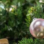 1638169329 bozic bozicnodrvo morguefile 8480 750x422 1