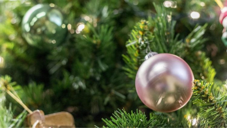 1638169329 bozic bozicnodrvo morguefile 8480 750x422 1