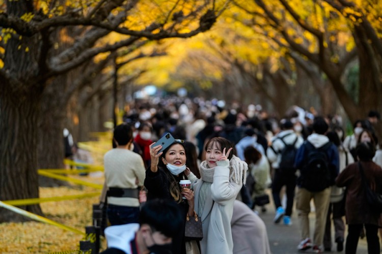 20211129194138 693763