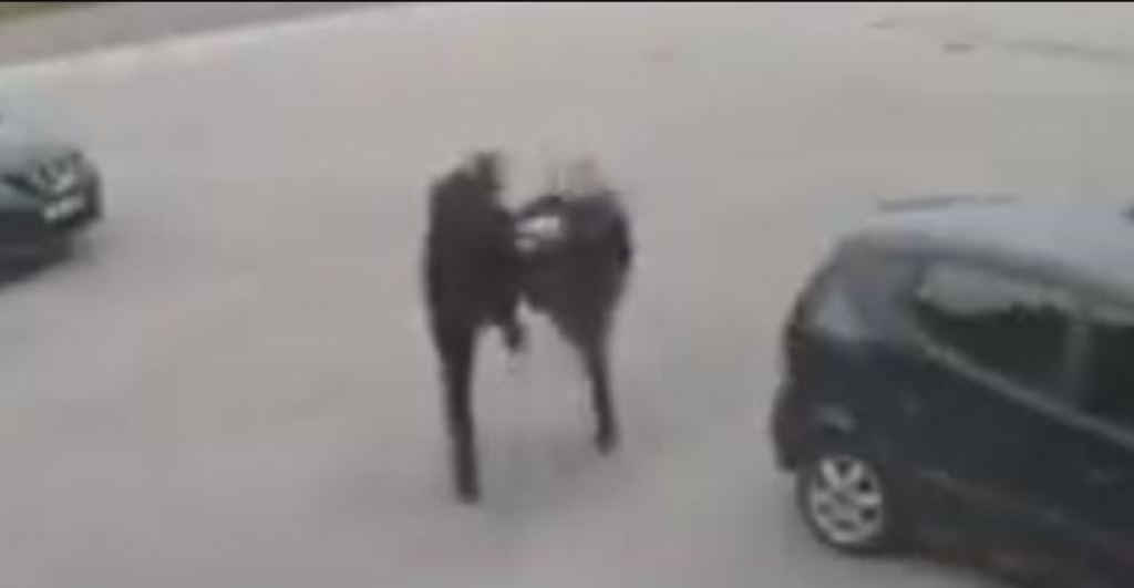 20369EFD 45D0 4AE3 B6E7 318E29B0EC89