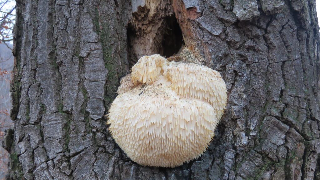 2984DA90 1043 4CE6 95B3 329EDE8EA241