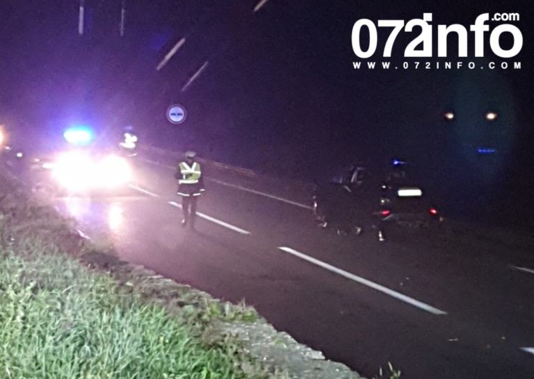 Puntom udario u divlje svinje na M-17,  pogledajte nesvakidašnji prizor (FOTO)