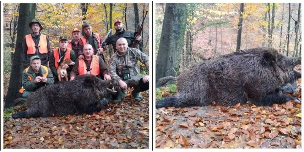 E6B25BCF D61E 43F1 9B31 029B56801145