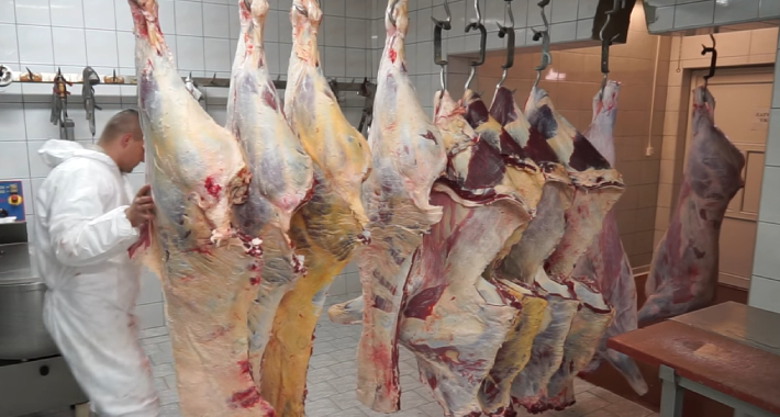 New Project 2021 11 02T134037 784