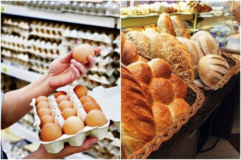 brasno jaja kupovina