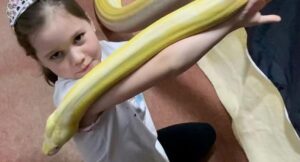 djevojicca piton zmija 12 696x375 1