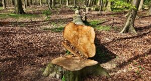 f5560aea5d3b0bd9015f70cd1ed6acbd