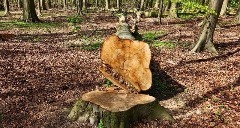 f5560aea5d3b0bd9015f70cd1ed6acbd