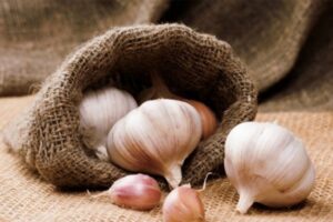 f6012654f1d768726920c65003bcc81e jpg pagespeed ce zkuhHAnTJm