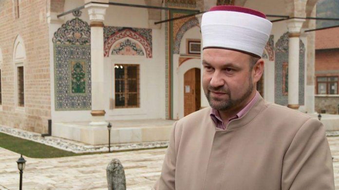 miralem ef hodzic 696x392 1