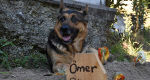 pas mezar turska AA 1