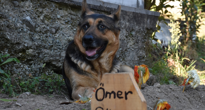 pas mezar turska AA 1