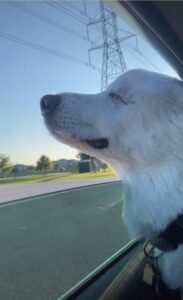 pas kida igra tik tok PrSc 01