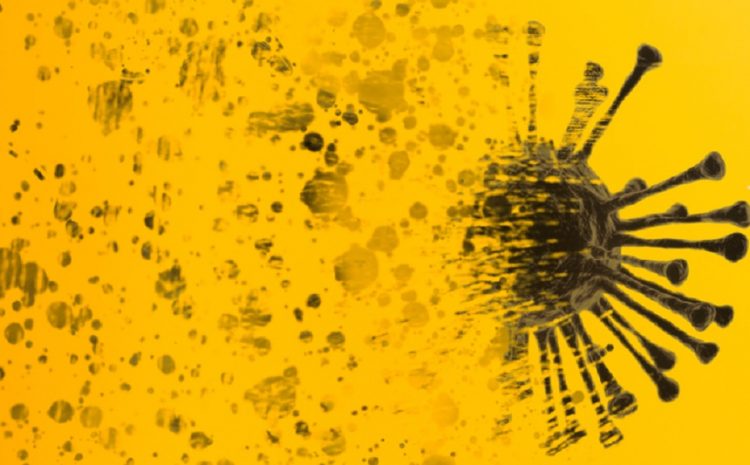 shutterstock 1903183486 750x465 1