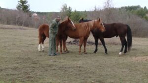 1639329177 branko 750x422 1